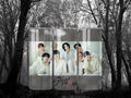 20 oz Stray Kids Black & White Tumbler