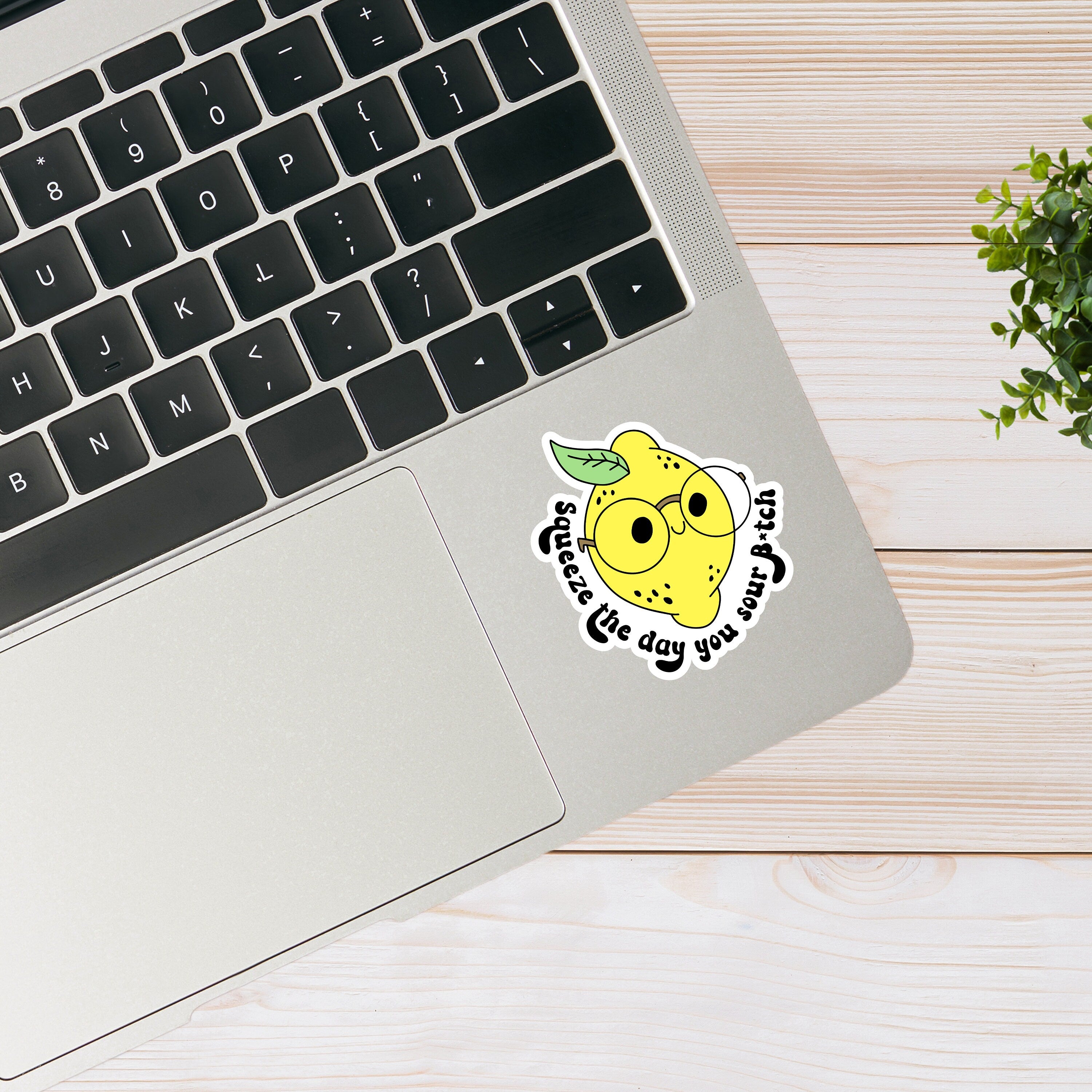 Squeeze the Day You Sour B*tch- Funny Lemon Sticker