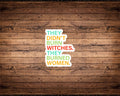 They Didn't Burn Witches, They Burned Women Sticker